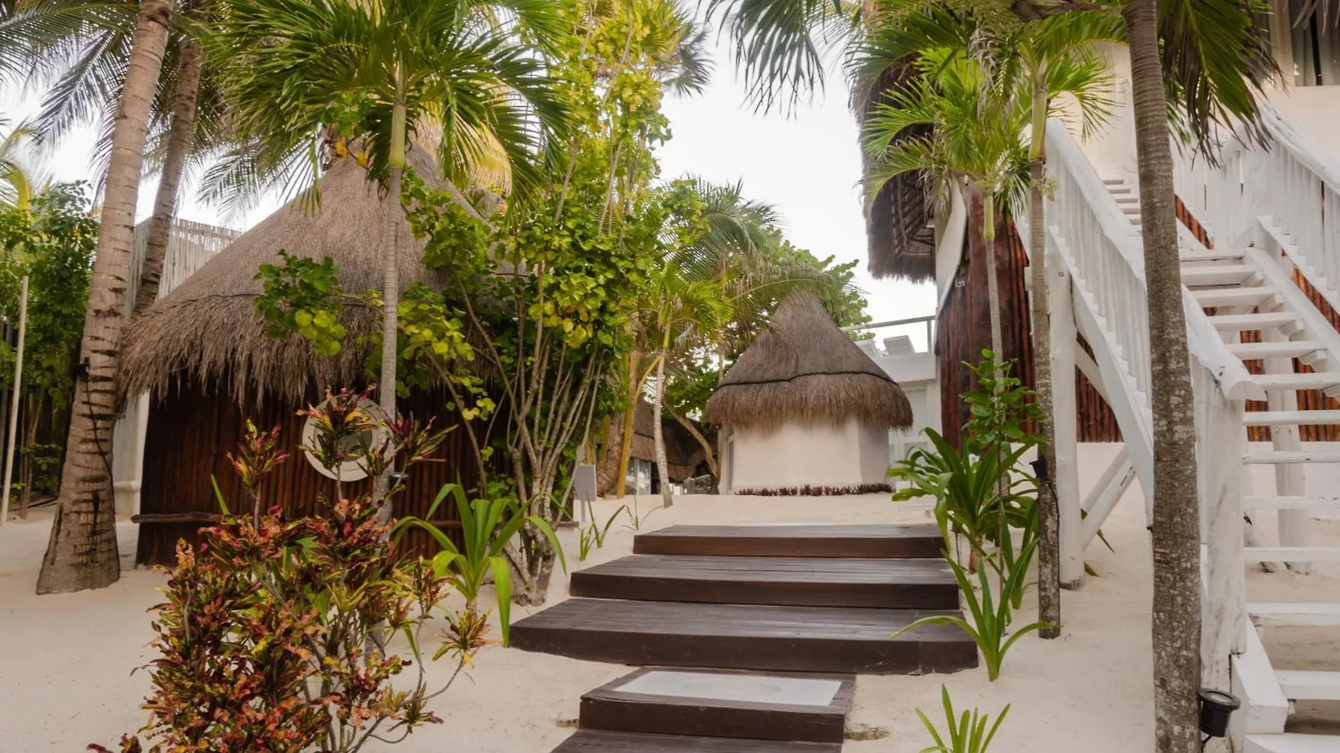 12Br Beachfront Private Villa With Infinity Pool By Solmar Rentals Tulum