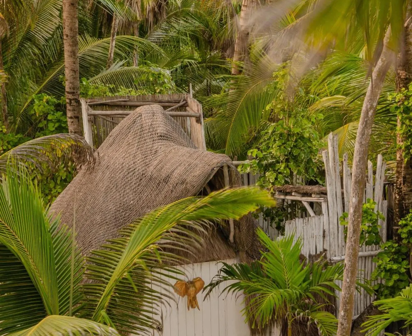 12Br Beachfront Private Villa With Infinity Pool By Solmar Rentals Tulum