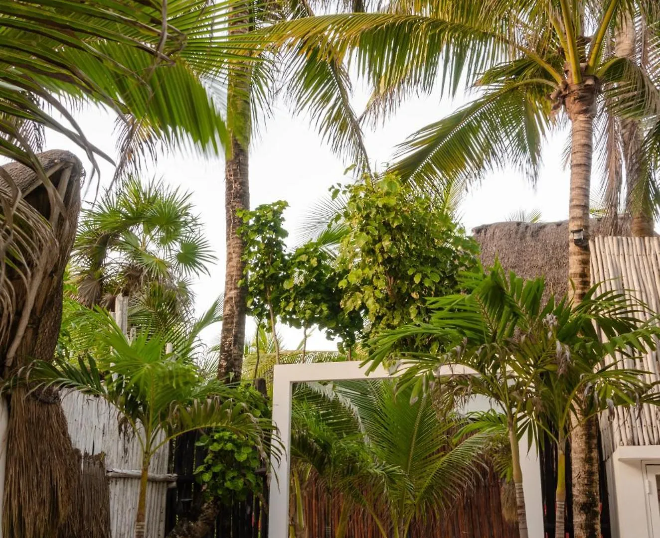 12Br Beachfront Private Villa With Infinity Pool By Solmar Rentals Tulum