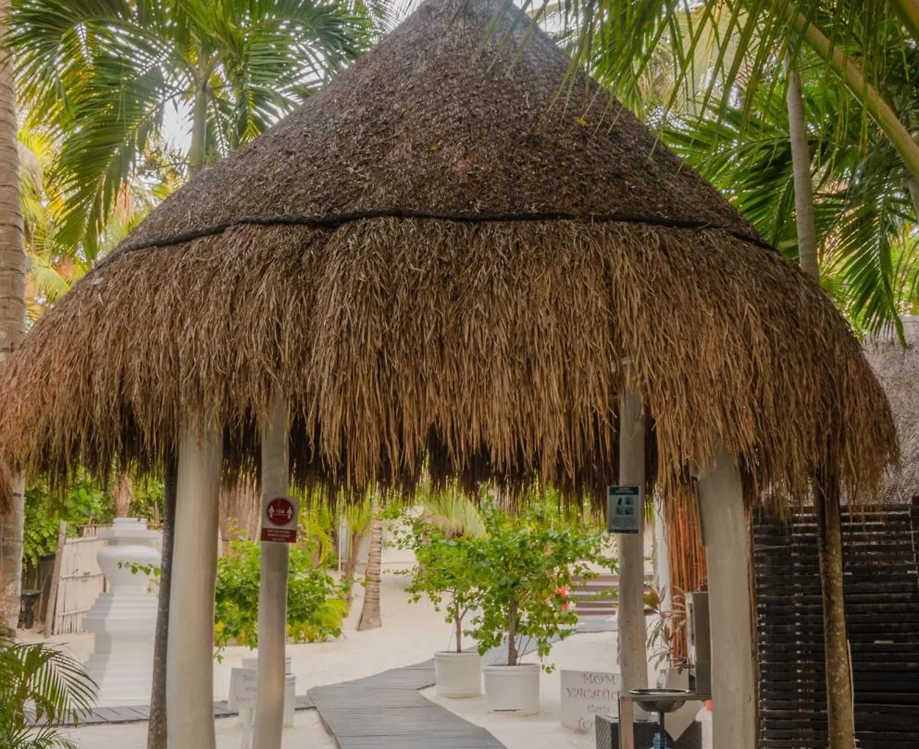 12Br Beachfront Private Villa With Infinity Pool By Solmar Rentals Tulum 0*,