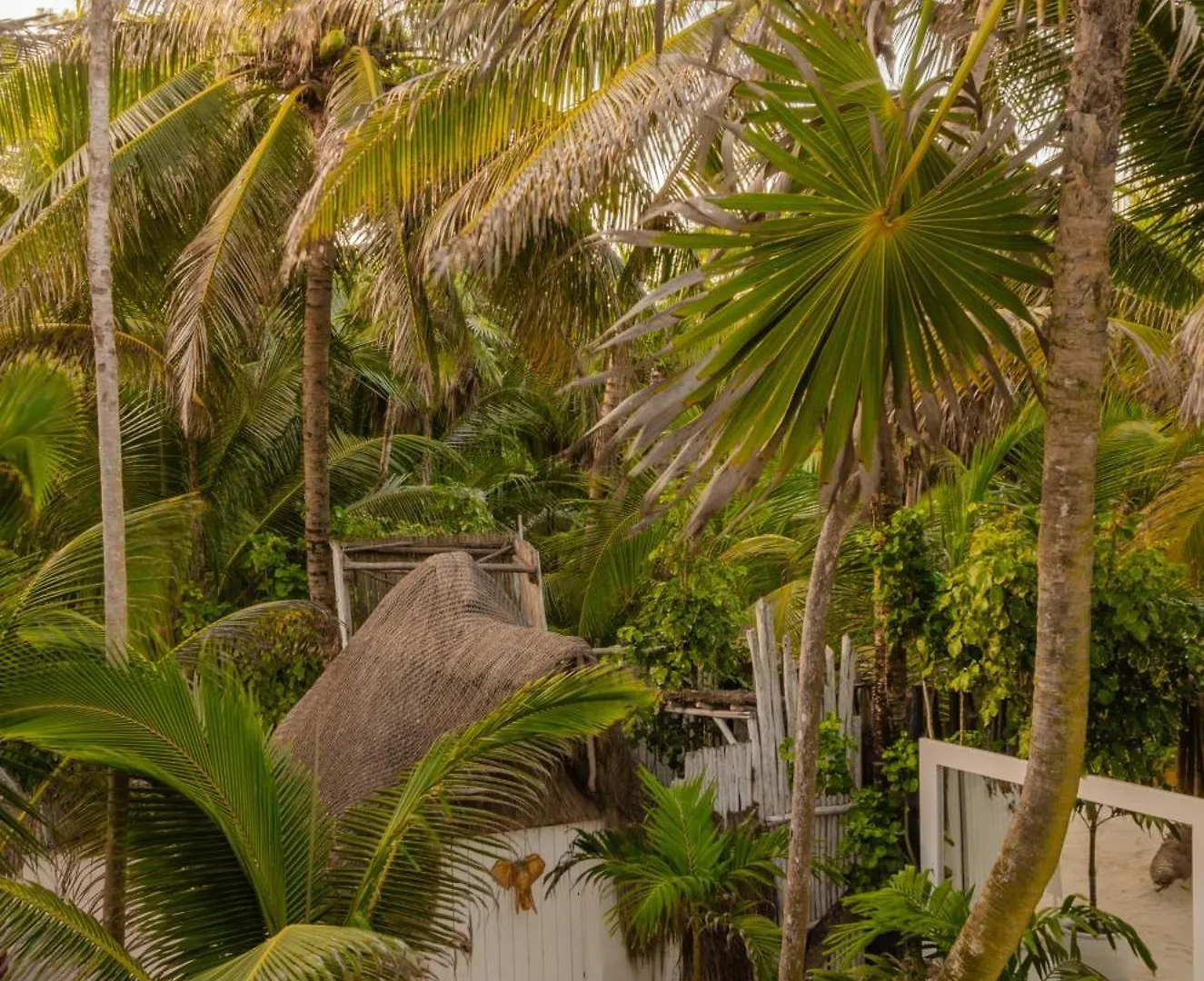 12Br Beachfront Private Villa With Infinity Pool By Solmar Rentals Tulum 0*,